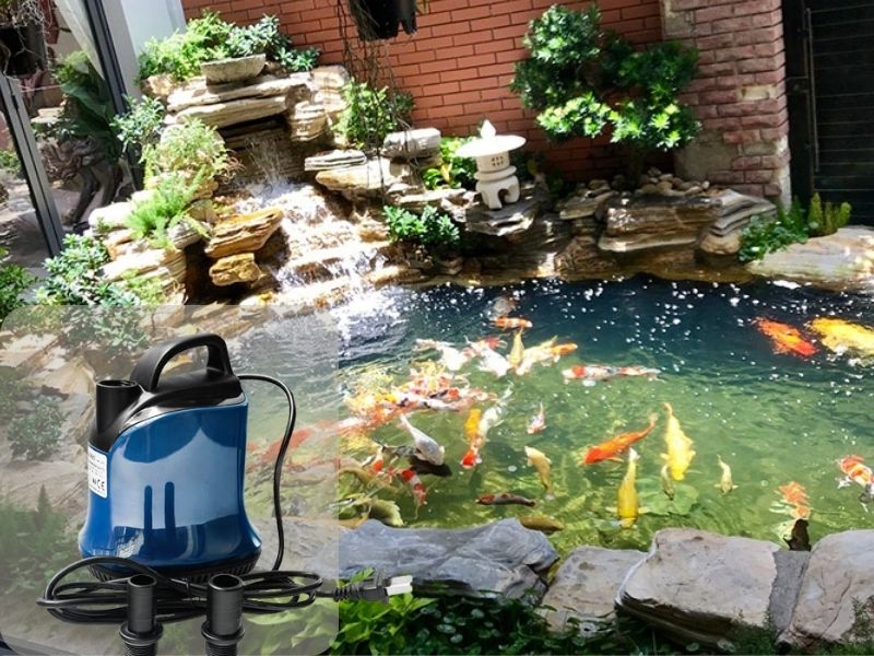 Thiết bị hút đáy hồ cá